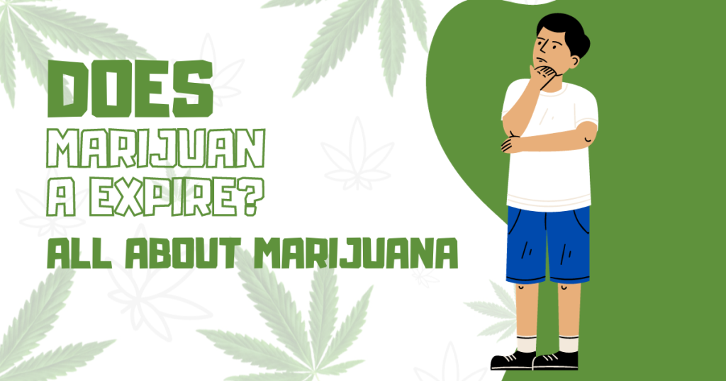 Does Marijuana Expire All About Marijuana